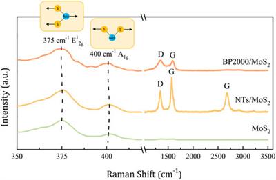 Supercapacitor with Carbon/MoS2 Composites